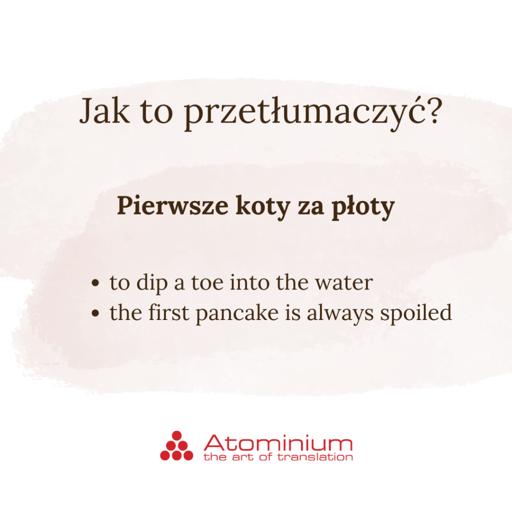 Pierwsze koty za płoty